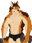 2022 3:4 abs absurd_res anthro barrel_(live_a_hero) biceps black_briefs black_clothing black_underwear bodily_fluids briefs canid canine canis clothed clothing countershading doodoofell dumbbell exercise fur hi_res lifewonders live_a_hero male mammal multicolored_body multicolored_fur muscular muscular_anthro muscular_arms muscular_male navel pecs simple_background solo sweat underwear underwear_only weights white_background wolf workout