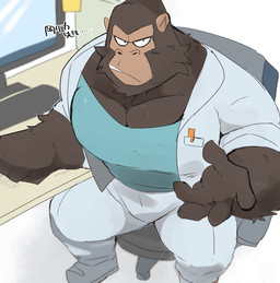 anthro armchair chair clothing computer computer_monitor desk doctor electronics footwear fur furniture humanoid_hands keyboard male muscular muscular_anthro muscular_male post-it_note shoes solo table white_clothing white_footwear white_shoes hyaku_(artist) odd_taxi ayumu_gouriki_(odd_taxi) ape gorilla haplorhine mammal primate hi_res