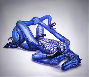 accessory anthro biped black_penis blue_body blue_eyes blue_scales bodily_fluids bow_(feature) bow_accessory bow_ribbon claws clothing erection furgonomics genital_fluids genitals gloves handwear holding_tail humanoid_genitalia humanoid_penis looking_at_viewer lying male nude on_back penis precum ribbons scales slim solo tail tail_accessory tail_bow tail_ribbon tongue tongue_out klongi lizard reptile scalie 2014