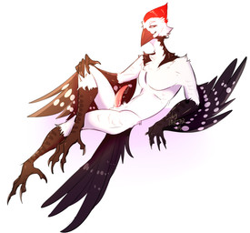 4_toes 5_fingers animal_genitalia animal_penis anisodactyl anthro avian_feet balls beak bedroom_eyes biped black_body black_feathers bodily_fluids brown_body chest_tuft claws crossed_legs erection feathered_wings feathers feet fingers fur genital_fluids genitals half-closed_eyes hand_on_knee hand_on_leg looking_at_viewer lying male male_anthro markings multicolored_body multicolored_feathers narrowed_eyes nude on_back orange_eyes penis pink_genitals pink_penis pose precum presenting reclining red_body red_eyes red_feathers red_genitals red_penis seductive simple_background slim smile solo spots spotted_body tail tail_feathers talons tapering_penis toe_claws toes tuft white_background white_balls white_body white_feathers white_genitals white_spots winged_arms wings tartar layvan avian bird picid woodpecker 2025 digital_media_(artwork) full-length_portrait hi_res pinup portrait shaded signature