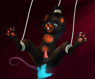 anal anal_fingering animal_genitalia animal_penis anthro balls bdsm bondage bound disembodied_hand fingering genitals ghost_hand green_eyes looking_pleasured male open_mouth pawpads penis restraints rope rope_bondage solo spread_legs spreading suspension suspension_bondage satelliteafterdark grimshire gustavo_goldwhiskers mammal mouse murid murine rodent hi_res
