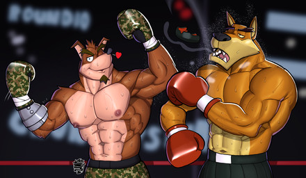 abs anthro beard biceps blue_eyes bodily_fluids bottomwear boxing boxing_gloves brown_body brown_fur brown_hair clothed clothing cybernetic_arm cybernetic_limb deltoids duo eyebrows face_punch facial_hair fangs fight fighting_ring fur goatee hair handwear heart_symbol male male_anthro mouthguard muscular muscular_anthro muscular_arms muscular_male navel nipples orange_body orange_fur pecs punch rope sharp_teeth shorts smile sport sweat tan_body tan_fur teeth thick_eyebrows topless topless_anthro topless_male triceps yellow_sclera hunter-husky activision crash_bandicoot_(series) crunch_bandicoot tiny_tiger bandicoot dasyuromorph mammal marsupial recently_extinct_species thylacine 2022 hi_res