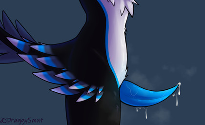 anthro biped black_body black_feathers black_fur blue_body blue_feathers blue_fur bodily_fluids crotch_shot cum dripping erection faceless_anthro faceless_character faceless_male feathers fur genital_fluids genital_focus genitals male musk musky_penis nude orgasm penis penis_focus precum precum_drip simple_background slim solo standing steam tail tapering_penis wet white_body white_feathers white_fur draggyavali kodai_(locoroo) avali digital_drawing_(artwork) digital_media_(artwork) hi_res signature