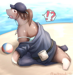 ambiguous_gender ball baseball_cap beach beach_ball brown_hair clothing cute_fangs fangs glistening glistening_body hair hat headgear headwear inflatable interrobang looking_at_viewer mid_transformation open_mouth outside ponytail seaside solo species_transformation surprised teeth transformation mikazuki162 aquatic human mammal pinniped seal 2020