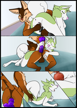 anal anal_beads anal_penetration andromorph andromorph/male andromorph_penetrated andromorph_penetrating andromorph_penetrating_male anthro anthro_on_anthro anthro_penetrated anthro_penetrating anthro_penetrating_anthro balls bed bedding bedroom black_border blanket border brown_body brown_fur butt buttplug close-up dildo doggystyle duo eyes_closed fingering from_behind_position from_front_position fur furniture genitals green_body green_fur grin hand_on_butt intersex intersex/male intersex_penetrated intersex_penetrating intersex_penetrating_male knot knotting looking_pleasured lying male male_penetrated male_penetrating male_penetrating_andromorph male_penetrating_intersex missionary_position montage multiple_positions on_back penetration penile penile_penetration penis penis_in_vagina pink_nose plug_(sex_toy) raised_tail sex sex_montage sex_toy simple_background smile tail toy_in_ass toy_in_pussy vaginal vaginal_fingering vaginal_penetration vulva white_body white_fur sillydraco byte_fantail_(character) lambda_(heretic) canid canine canis domestic_dog fox husky mammal nordic_sled_dog spitz absurd_res comic hi_res