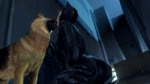 16:9 3d_(artwork) 3d_animation ambiguous_gender animated batman_(series) bestiality bestiality_kiss bodily_fluids butt canid canine canis catwoman dc_comics digital_media_(artwork) domestic_dog duo female female/ambiguous female_on_feral feral french_kissing fur hi_res high_framerate human human_on_feral interspecies kissing loop mammal masturbation moan noname55 open_mouth saliva saliva_string short_playtime sound source_filmmaker_(artwork) tongue tongue_out vaginal vaginal_masturbation webm widescreen