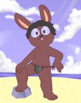 3_toes 4_fingers anthro beach bedroom_eyes buckteeth bulge clothed clothing eyewear feet fingers glasses male narrowed_eyes presenting seaside seductive solo teeth thong toes underwear nutty_bo lemmy lagomorph leporid mammal rabbit