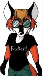 al_mackey ambiguous_gender anthro arm_markings bangs biped black_body black_clothing black_fur black_markings black_nose black_shirt black_topwear bottomwear brown_hair canid canine cel_shading clothed clothing digital_media_(artwork) ear_markings english_text eyewear facial_markings fox foxdevil front_view fully_clothed fur glasses gloves_(marking) grandfathered_content green_bottomwear green_clothing green_pants hair head_markings linux long_bangs long_hair looking_at_viewer mammal markings multicolored_body multicolored_fur muzzle_(marking) orange_body orange_fur pants ponytail portrait shaded shirt simple_background snout snout_markings solo standing t-shirt tan_hair text third-party_edit three-quarter_portrait topwear trans_(lore) trans_woman_(lore) white_background white_body white_fur white_markings xenia_(linux)