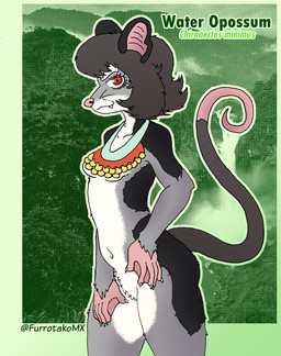 breasts collar collar_only collarbone countershade_face countershade_fur countershading eyebrows fangs fur grey_body grey_fur hair markings membrane_(anatomy) mostly_nude nude pouch_(anatomy) prehensile_tail pupils red_eyes short_hair slit_pupils small_breasts spots spotted_body spotted_fur tail teeth thick_eyebrows webbed_hands whiskers white_body white_fur efradraws american_opossum mammal marsupial water_opossum absurd_res hi_res