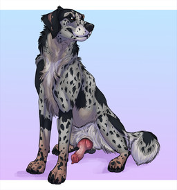 animal_genitalia animal_penis balls black_balls canine_genitalia canine_penis erection feral genitals knot knotted_penis male penis sitting hybernation logan_(dracanius) canid canine canis domestic_dog mammal