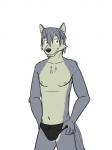 anthro bikini_briefs black_clothing black_underwear clothed clothing male nipples open_mouth simple_background skinny solo topless underwear white_background fuze morenatsu kouya_(morenatsu) canid canine canis domestic_dog husky mammal nordic_sled_dog spitz 3:4 hi_res