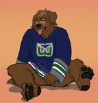 anthro blue_eyes blush bottomless breath brown_body brown_eyebrows brown_fur brown_hair bulge clothed clothing concealing_penis detailed_bulge embarrassed eyebrows eyewear fur genital_outline glasses grey_nose grey_pawpads hair hockey hockey_jersey looking_at_viewer male panting pawpads penis_outline pink_tongue simple_background solo sport tongue tongue_out howz hartford_whalers devin_d_parlett canid canine canis domestic_dog mammal molosser mountain_dog newfoundland_dog digital_media_(artwork)