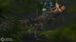 ambiguous_gender duo feral forest jungle male oral_vore plant soft_vore swallowing tree vore crimsoncreaturecreations human komodo_dragon lizard mammal monitor_lizard reptile scalie 16:9 3d_(artwork) 4k absurd_res digital_media_(artwork) hi_res widescreen