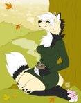 anthro autumn beverage candy chocolate cozy dessert dipstick_tail female food hot_chocolate leaf markings multicolored_tail nature plant solo sweater_dress tail tail_markings tree crystalwhisker canid canine canis domestic_dog mammal absurd_res hi_res