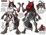 aerona animal_genitalia anus armpit_hair balls breasts canine canine_penis digitigrade fenrir_lunaris fur green_eyes grey_fur hair herm intersex lying mammal model_sheet multi_breast multi_limb multiple_arms on_front penis pubes pussy red_hair sheath solo were werewolf
Rating: Explicit
Score: 10
User: rekohunter
Date: February 08, 2013