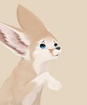 ambiguous_gender blue_eyes feral open_mouth solo whiskers cdt2s canid canine fennec_fox fox mammal true_fox hi_res