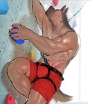 abs anthro bodily_fluids bulge claws clothed clothing harness male muscular muscular_male rock_climbing rope shorts_only solo sweat topless waist_harness nomifuki canid canine canis domestic_dog mammal hi_res