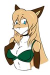 anthro blue_eyes bra brown_body brown_fur choker clothing female female_anthro fur gloves_(marking) green_clothing hair holding_bra holding_clothing holding_object holding_underwear jewelry looking_at_viewer markings necklace simple_background solo underwear white_body white_fur conditional_dnp unknown_artist averi_(fiddleafox) canid canine fox mammal 2:3 hi_res