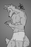 abs anthro bulge claws clothed clothing fur half_naked looking_down male muscular muscular_anthro muscular_male nipples pecs simple_background solo tail topless underwear xzenonart beastars legoshi_(beastars) canid canine canis mammal wolf greyscale hi_res monochrome