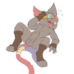 balls buckteeth clothed clothing erection eyewear footwear foreskin genitals gloves goggles handwear lying open_mouth partially_clothed penis rubbing_head socks spread_legs spreading tapering_penis teeth twerpishimp league_of_legends riot_games tencent twitch_(lol) mammal murid murine rat rodent absurd_res hi_res
