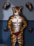 anthro biceps bulge clothing communal_shower fur hair jockstrap looking_at_viewer male muscular muscular_anthro muscular_male nipples nude pecs simple_background smile solo striped_body striped_fur stripes underwear undressing apache_(artist) anonymous_character felid mammal pantherine tiger 2019 3:4 digital_media_(artwork) hi_res