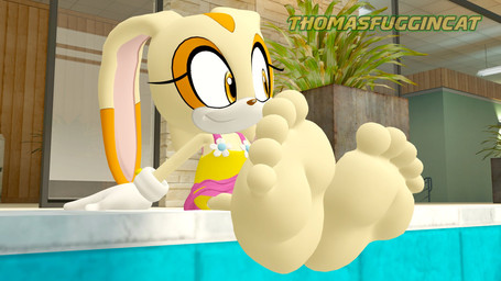 5_toes alternate_costume anthro dangling_feet feet female foot_focus humanoid_feet indoor_pool plantigrade poolside solo swimming_pool tan_body toes water young young_anthro young_female thomasfuggincat sega sonic_the_hedgehog_(series) cream_the_rabbit lagomorph leporid mammal rabbit 16:9 3d_(artwork) digital_media_(artwork) hi_res widescreen