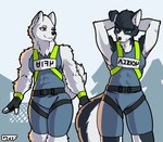 abs anthro athletic athletic_anthro athletic_female duo female fluffy harness red_eyes teal_eyes gasmaskfox sophia_(gasmaskfox) vika_(gasmaskfox) border_collie canid canine canis collie domestic_dog herding_dog mammal nordic_sled_dog pastoral_dog samoyed sheepdog spitz hi_res