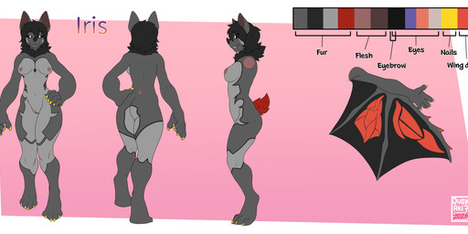 anthro areola bat_wings big_hands biped breasts clitoral_hood digitigrade female female_anthro fluffy fluffy_tail fur genitals grey_body grey_fur hair humanoid_genitalia humanoid_vulva membrane_(anatomy) membranous_wings nipples posing_nude short_hair small_tail solo tail thick_thighs vulva wings duskari7 bat mammal absurd_res hi_res model_sheet