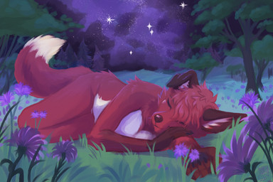 anthro black_body black_ears black_fur black_nose black_paws field floppy_ears fluffy fluffy_tail forest forest_background fur hair inner_ear_fluff lying lying_on_ground multicolored_body multicolored_fur nature nature_background nude on_ground on_side plant purple_eyes red_body red_fur red_hair sleeping solo star tail tree tuft white_body white_fur white_inner_ear_fluff itsmaemagic jesam_(jesam) canid canine fox mammal red_fox true_fox 3:2 absurd_res digital_media_(artwork) hi_res nonbinary_(lore) trans_(lore) trans_woman_(lore)