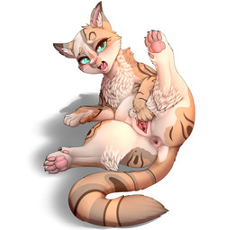 5_toes anus butt butt_markings chest_tuft claws clitoris countershade_butt countershade_face countershade_fur countershade_legs countershade_neck countershade_torso countershading crotch_tuft cute_fangs digitigrade dipstick_ears ear_markings eyebrows eyelashes fangs feet female female_feral feral front_view fur fur_markings fur_tuft genitals glistening glistening_eyes green_eyes head_markings hindpaw humanoid_genitalia humanoid_genitalia_on_feral humanoid_vulva humanoid_vulva_on_feral inner_ear_fluff iris leg_markings leg_tuft long_tail looking_at_viewer lying markings multicolored_body multicolored_ears multicolored_fur open_mouth pawpads paws perineum presenting presenting_vulva pupils raised_leg shadow simple_background solo spread_legs spread_vulva spreading striped_markings striped_tail stripes tail tail_markings teeth toe_claws toes tongue tuft vulva dankflank domestic_cat felid feline felis mammal absurd_res full-length_portrait hi_res portrait shaded