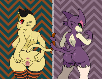 3_fingers anthro anthrofied anus back_boob big_butt breasts butt butt_grab clothing duo entwined_tails female fingers genitals glistening glistening_butt hand_on_butt hand_on_hip legwear looking_at_viewer looking_back mostly_nude multicolored_body nipples pattern_clothing pattern_legwear pattern_stockings pokemorph purple_body side_boob simple_background small_breasts smile smirk spread_anus spread_vulva spreading spreading_self standing stockings striped_clothing striped_legwear striped_stockings stripes tail tail_coil vulva wide_hips yellow_body imactuallygarbage nintendo pokemon generation_1_pokemon generation_5_pokemon meowth pokemon_(species) purrloin digital_media_(artwork) pixel_(artwork)