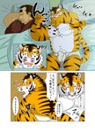 anthro balls_outline bed bedding blanket blush bulge clothing detailed_bulge duo exclamation_point eyes_closed fur furniture genital_outline kemono lying male penis_outline pillow pink_nose question_mark scar sleeping slightly_chubby text underwear white_body white_fur raichoclub felid human mammal pantherine tiger 2016 comic japanese_text translation_request