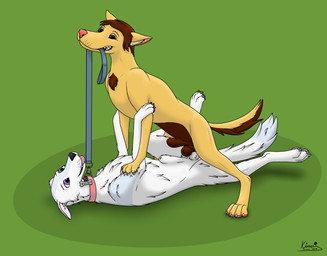 animal_genitalia balls balls_touching claws collar collar_tag dominant dominant_male duo feral feral_on_feral fluffy fur genitals grinding leash leash_pull male male/male pawpads sheath submissive submissive_male tongue tongue_out kinaj micka_(lilly.the.husky) nick_(kinaj) canid canine canis domestic_dog husky mammal nordic_sled_dog spitz 2018 hi_res