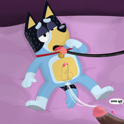 4_fingers after_anal after_sex anal_fluids anal_juice_on_penis anthro balls bed bedding bedroom_eyes bent_arm big_eyes big_penis biped black_body black_ears black_eyes black_fur black_leash black_nose black_text blue_body blue_eyebrows blue_fur blue_markings blue_tail bodily_fluids brown_penis collar collar_only collar_tag cum cum_string dark_body dark_fur dominant dominant_male duo erection eyebrows feet fingers fucked_silly fur furniture genital_fluids genitals glans glistening glistening_genitalia glistening_glans glistening_nose glistening_penis gloves_(marking) good_boy gradient_background half-closed_eyes heart_symbol hearts_around_penis high-angle_view humanoid_genitalia humanoid_hands humanoid_penis iris leaking_precum leash leashed_collar leg_markings light_body light_fur light_markings looking_at_viewer looking_pleasured lying lying_on_bed male male/male markings mature_anthro mature_male mostly_offscreen_male multicolored_body multicolored_fur multicolored_tail narrowed_eyes no_pupils nude nude_anthro nude_male on_back on_bed open_mouth penis penis_size_difference pink_glans pink_tongue plantigrade pointy_ears precum prick_ears purple_bedding red_collar red_heart retracting_foreskin seductive shadow simple_background snout socks_(marking) speech_bubble submissive submissive_anthro submissive_male tail talking_to_another talking_to_partner text thick_eyebrows tongue tongue_out vein veiny_penis white_sclera white_speech_bubble yellow_balls yellow_body yellow_fur yellow_inner_ear yellow_penis courtzside45 bluey_(series) bandit_heeler australian_cattle_dog canid canine canis cattledog domestic_dog herding_dog mammal pastoral_dog 2026 digital_drawing_(artwork) digital_media_(artwork) english_text hi_res
