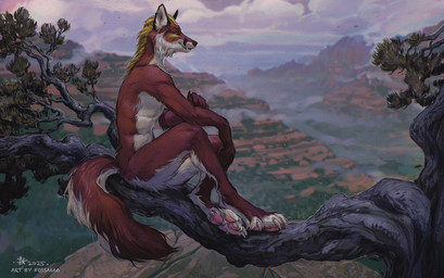4_toes anthro blonde_hair claws cloud fangs feet fur hair head_tuft male markings mountain multicolored_body multicolored_fur nature nature_background nude nude_anthro nude_male outside paw_tuft pawpads paws pink_pawpads plant pointy_ears prick_ears red_body red_fur rock side_view sitting_on_tree sky solo tail teeth toe_claws toes tree tuft two_tone_body two_tone_fur whisker_spots whiskers white_body white_fur yellow_markings fossa666 canid canine fox mammal red_fox true_fox 2025 digital_media_(artwork) hi_res signature