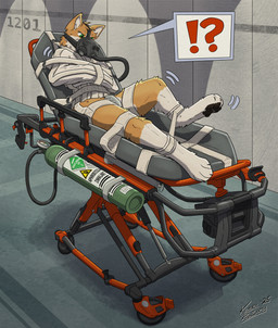 ankle_cuffs anthro aphrodisiac aphrodisiac_gas aphrodisiac_mask asylum bdsm black_pawpads bondage bound chastity_belt chastity_device corridor cuff_(restraint) detailed_background feet frown fur gas_mask gas_tank green_eyes gurney inside interrobang leg_cuffs lying male mask medical_instrument metal_chastity_belt motion_lines muzzle_(object) muzzled on_back oxygen_mask pawpads pointy_ears prick_ears restraints scientific_instrument segufix solo straitjacket stretcher struggling tan_body tan_fur white_feet kemira maxwelldoggo canid canine canis domestic_dog herding_dog mammal pastoral_dog welsh_corgi 2025 hi_res signature
