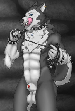 abs animal_genitalia anthro balls bdsm black_body black_fur black_nipples black_sclera blue_eyes bracelet bulge clothing fangs fur genitals jewelry leash leather licking licking_lips licking_own_lips male muscular muscular_anthro muscular_male nipples nude saggy_balls self_lick sheath solo stone_wall studded_jewelry studs suggestive_expression teeth thick_thighs tongue tongue_out wall_(structure) white_body white_fur phrostbite mythology zesh canid canine canis domestic_dog husky mammal mythological_canine mythological_creature nordic_sled_dog spitz werecanid werecanine werecreature weredog werehusky werewolf 2020 absurd_res hi_res