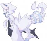 ambiguous_gender black_sclera blue_eyes claws collar feral fur pokemorph simple_background solo white_background white_body white_fur shin_(artist) nintendo pokemon generation_5_pokemon legendary_pokemon mammal pokemon_(species) reshiram full-length_portrait portrait