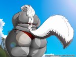 anthro belly_rolls big_butt bikini blush butt clothing cloud female huge_butt hyper obese obese_anthro obese_female overweight overweight_anthro overweight_female sky smile solo swimwear thick_thighs two-piece_swimsuit wide_hips xxsparcoxx kelsey_sienna mammal mephitid skunk hi_res