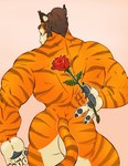 5_fingers anthro back_muscles biceps big_butt brown_hair butt fingers flower fur hair male manly muscular muscular_anthro muscular_male nude orange_body orange_fur plant purple_nose rear_view romantic rose_(flower) simple_background solo striped_body striped_fur stripes triceps arts_of_indiego hi-rez_studios paladins_(game) tiberius_(paladins) felid mammal pantherine tiger absurd_res hi_res