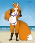 anthro beach belly big_belly bikini blush clothed clothing female pregnant pregnant_anthro pregnant_female sand seaside solo swimwear two-piece_swimsuit water geckoguy123456789 leokitsune canid canine fox mammal