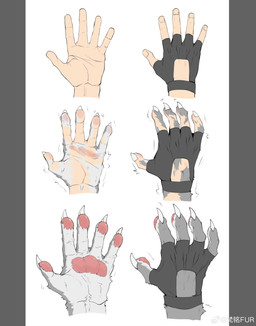 anthro claws clothing fur fur_growth growth handwear male muscle_growth muscular muscular_anthro muscular_male pawpads paws transformation asure mythology canid canine canis mammal mythological_canine mythological_creature werecanid werecanine werecreature werewolf wolf absurd_res hi_res