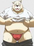 anthro asian_clothing blush bottomwear bottomwear_down clothed clothing east_asian_clothing eyewear fundoshi glasses japanese_clothing kemono male mature_male overweight overweight_male pants pants_down partially_clothed red_clothing red_fundoshi red_underwear shirt simple_background solo topwear underwear emufu canid canine canis domestic_dog mammal 2025 3:4 hi_res