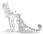 anthro blush breasts butt butt_kiss duo female fur hair kissing kissing_butt kneeling male male/female nipples nude whiskers nicnak044 nicole_(nicnak044) felid feline lynx mammal pantherine tiger sketch