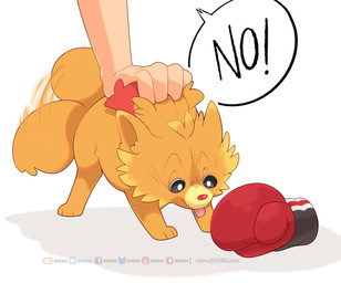 3_toes ambiguous_focus ambiguous_gender black_eyes boxing_gloves clothing cute_fangs dialogue disembodied_hand duo fangs feet feral feral_focus fur handwear humor looking_at_object orange_body orange_fur pupils red_body red_fur red_nose scruff_grab simple_background smile solo_focus speech_bubble tail tail_motion tailwag tan_body tan_skin teeth text toes tongue tongue_out white_background white_pupils yellow_body yellow_fur sioteru game_freak nintendo pokemon pokemon_winds_and_waves canid canine generation_10_pokemon mammal pokemon_(species) pombon 2026 absurd_res english_text hi_res