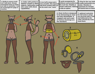 ambiguous_gender arm_cuffs bdsm bridle chastity_belt chastity_cage chastity_device collar hands_behind_back packmule petplay ponyplay rape_play roleplay solo text toeless_legwear trinitite unnamed_character ambiguous_species english_text model_sheet