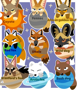 ambiguous_gender brown_body dipstick_tail feral gas_giant group inner_ear_fluff markings orange_body planet sun tail tail_markings tan_body toony tuft whiskers white_body canidae360 african_golden_wolf african_wild_dog arctic_fox blanford's_fox bush_dog canid canine canis coyote dhole fennec_fox fox mammal red_fox true_fox 2026 hi_res