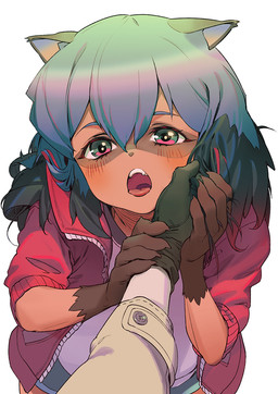 anthro black_hair blue_body blue_eyes blue_hair blush brown_body brown_fur clothed clothing facial_markings female first_person_view fur gloves gloves_(marking) hair hand_on_face handwear head_markings human_on_anthro interspecies jacket male markings mask_(marking) multicolored_hair open_clothing open_jacket open_mouth open_topwear topwear kyma_curry brand_new_animal studio_trigger michiru_kagemori shirou_ogami canid canine human mammal raccoon_dog tanuki 2020 hi_res