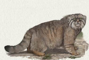 ambiguous_gender black_markings brown_body brown_fur dipstick_tail feral fur green_eyes inner_ear_fluff looking_at_viewer markings paws pink_nose plant quadruped rock solo spots spotted_markings stone_floor striped_body striped_fur stripes tail tail_markings tuft whiskers white_inner_ear_fluff white_whiskers jay_labelle felid feline mammal pallas's_cat digital_media_(artwork) digital_painting_(artwork) hi_res painting_(artwork)