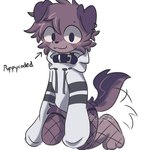anthro biped black_collar black_eyes blush blush_lines brown_body brown_fur clothing collar ear_piercing ear_ring fur hoodie looking_at_viewer male piercing ring_piercing slim_anthro slim_male solo topwear white_clothing white_hoodie white_topwear cubusonic canid canine canis domestic_dog mammal 1:1 2024 hi_res